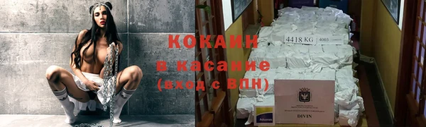 индика Алексеевка