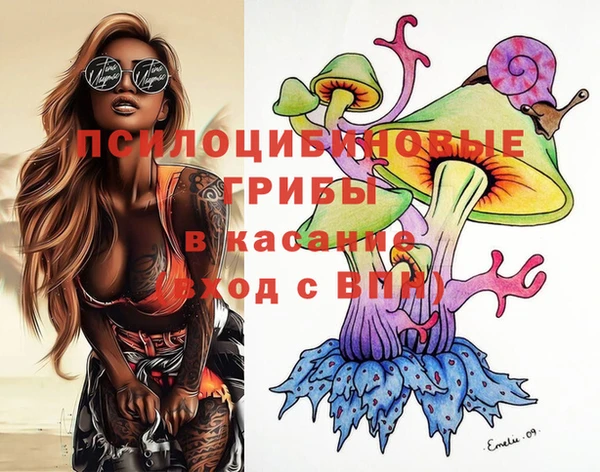 индика Алексеевка