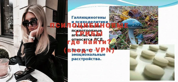 не бодяженный Алексин
