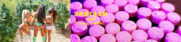 не бодяженный Алексин